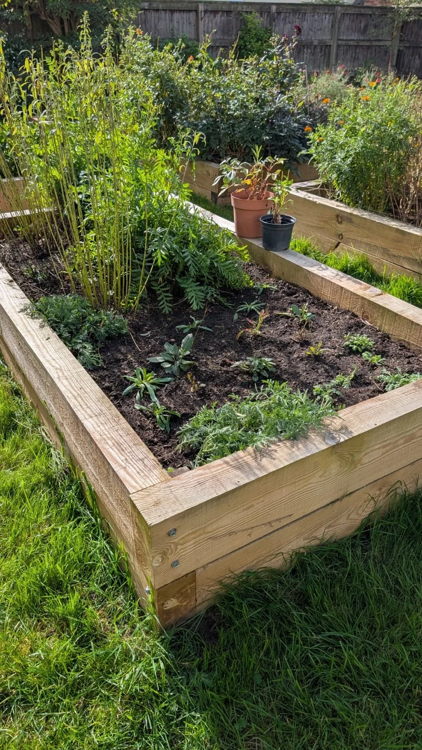 Person planting a small plant in soil, wearing a bright orange watch, with garden tools nearby, surrounded by a garden trellis and flowering plants.