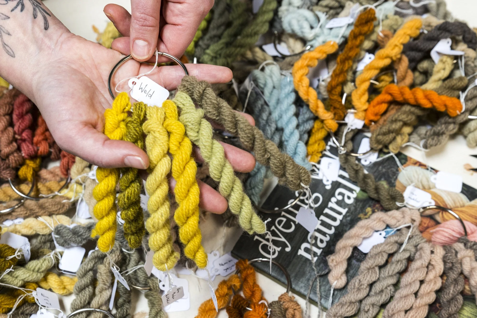 Ria Burns Knitwear Dyeing Yarn Naturally Samples.jpg