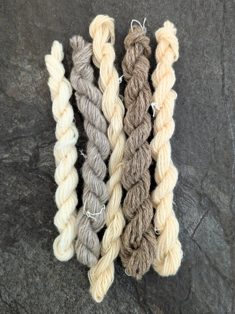 Ria Burns Knitwear Pre Mordanted Mini Skeins dk aran.jpg