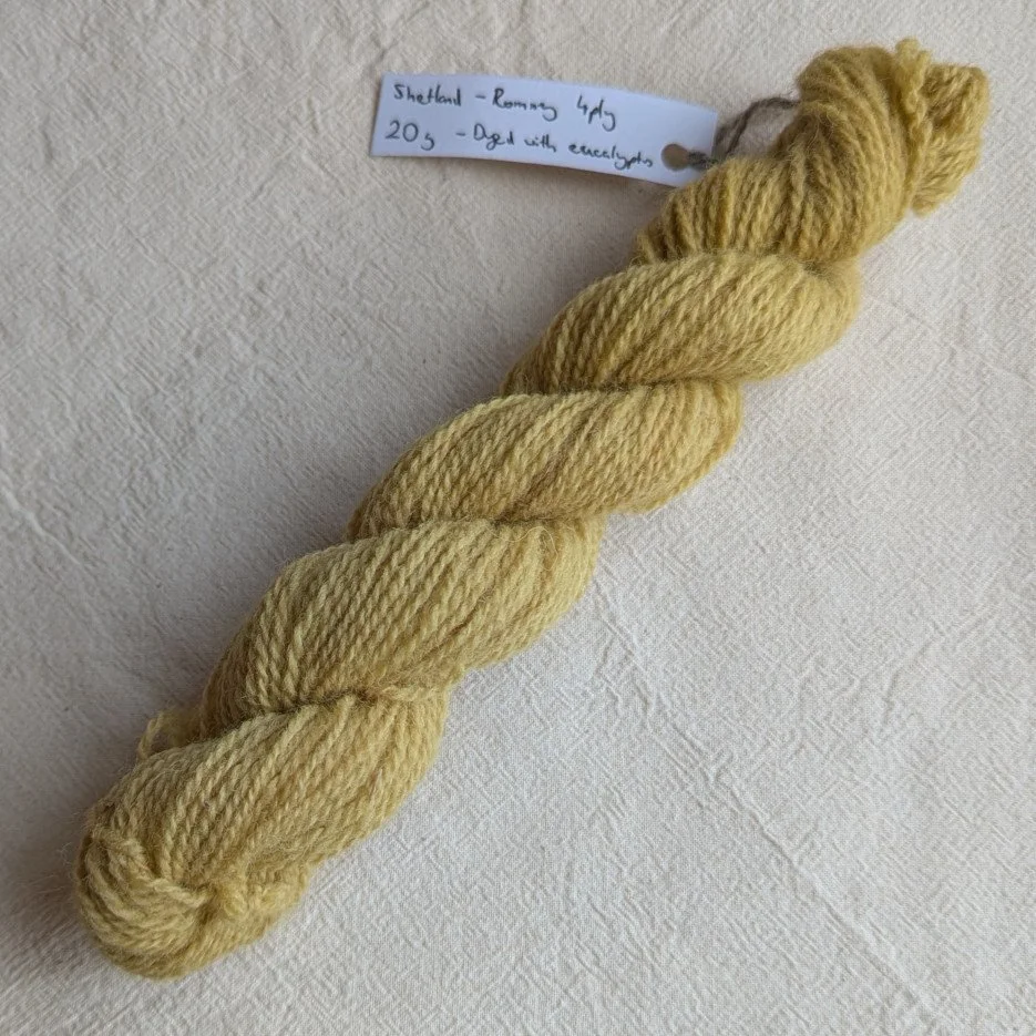 Ria Burns Knitwear Naturally Dyed Mini Skein 10 web.jpg
