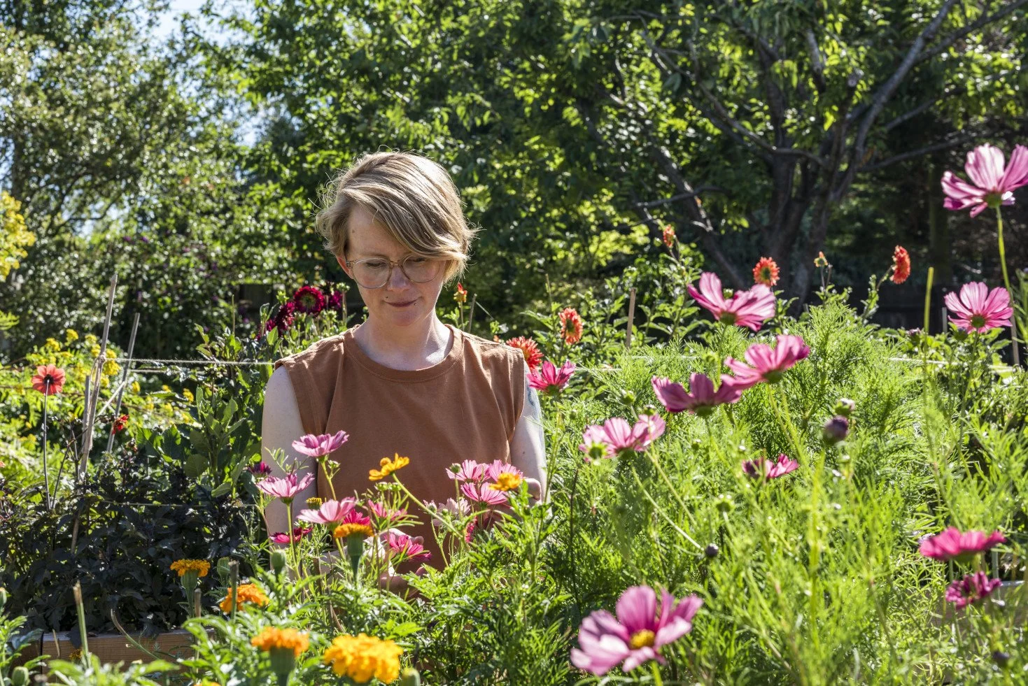 Ria Burns Knitwear Garden Portrait in Cosmos.jpg