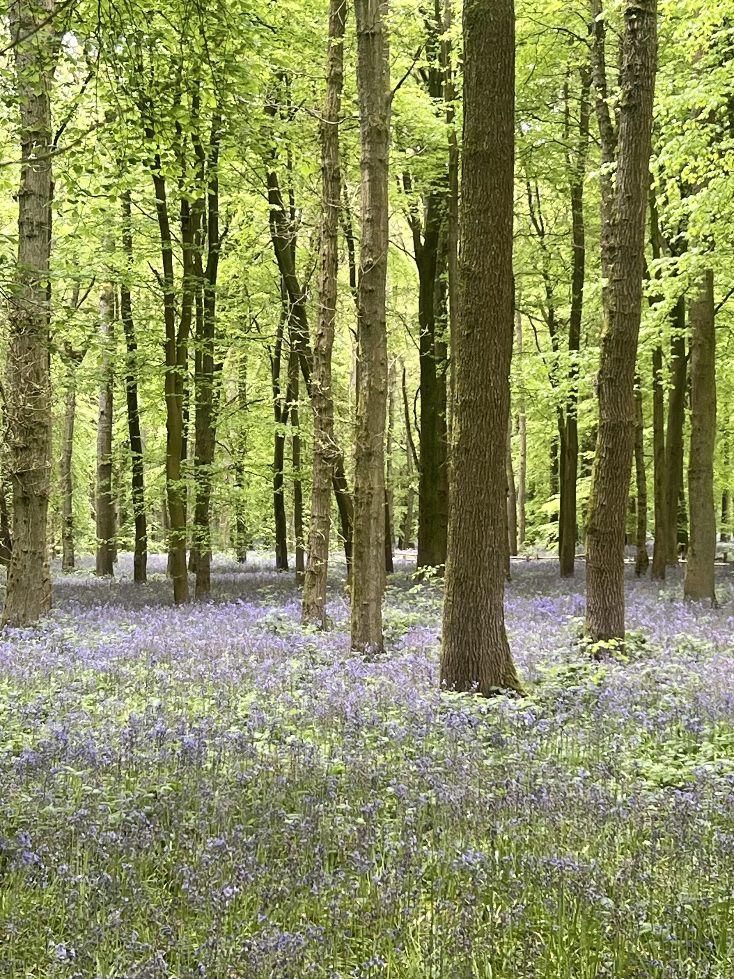 Why time in nature for leaders matters: balancing doing and being