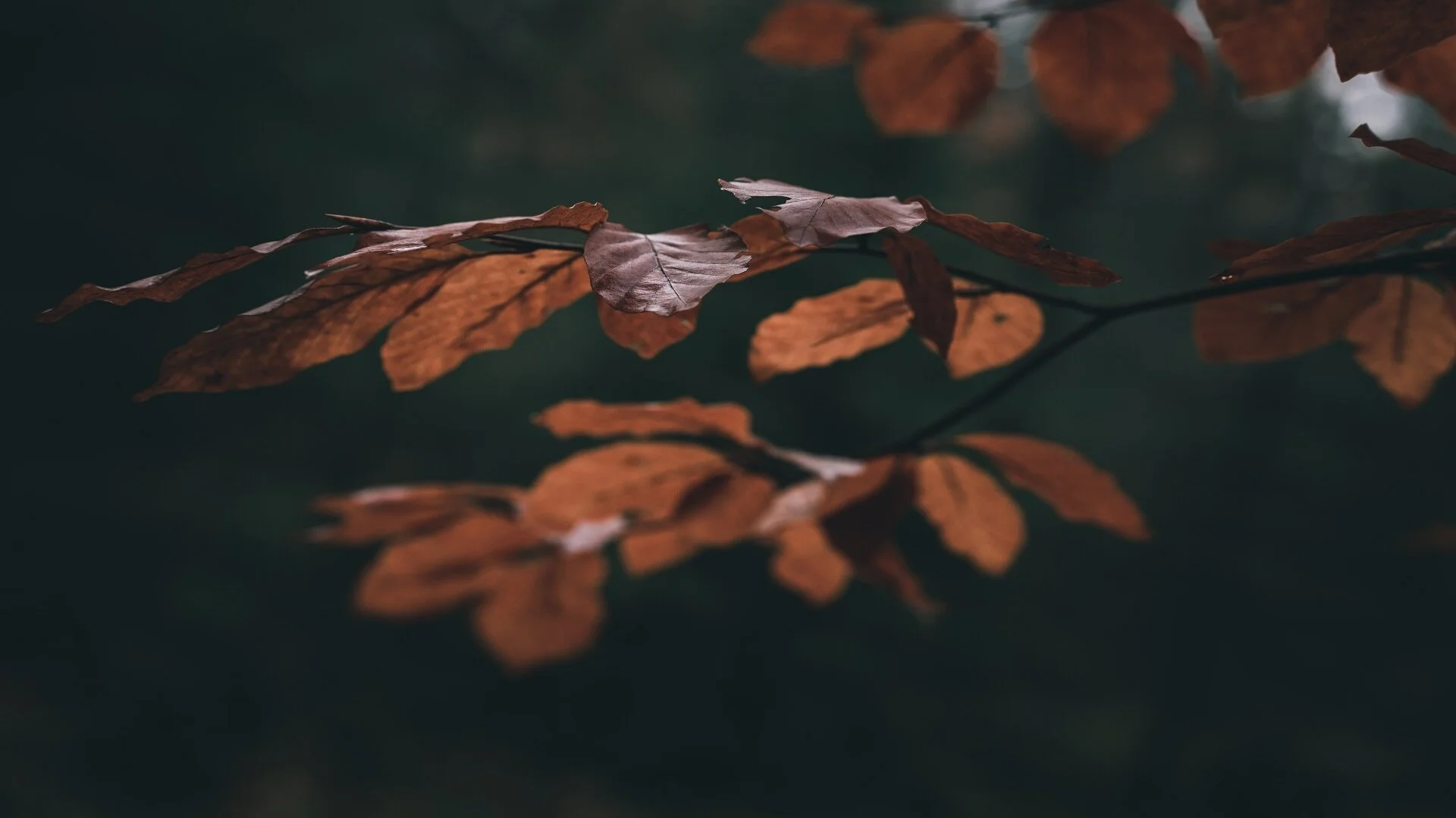 Think LA Awards Evening