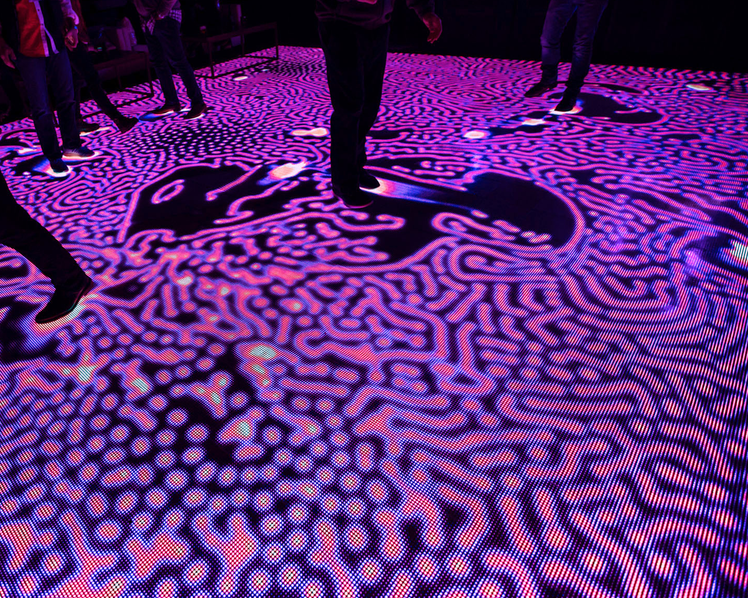 emergence_0000s_0005_716A2397-2-85.png