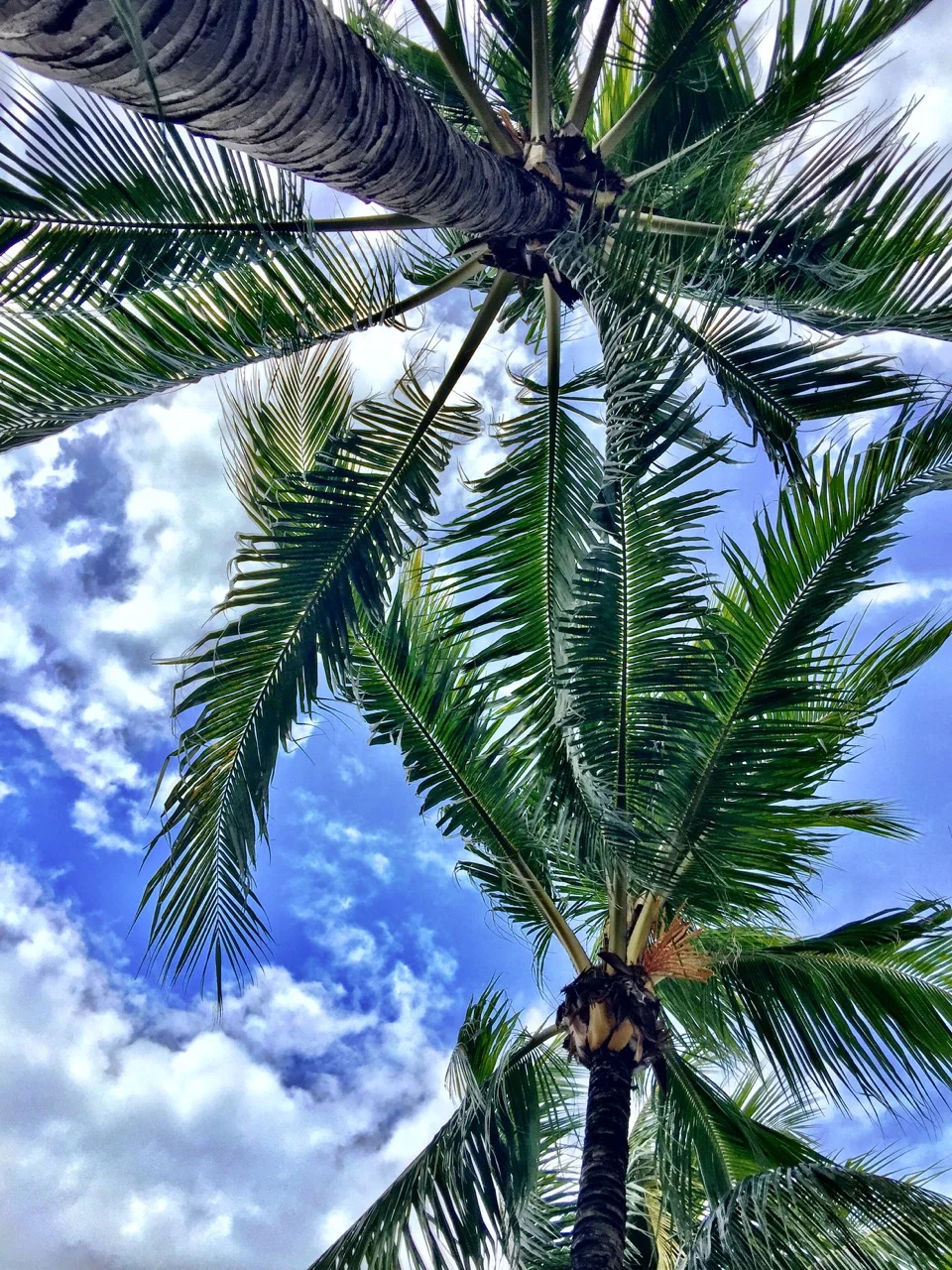 There are two types of happiness—and we’re chasing the wrong one