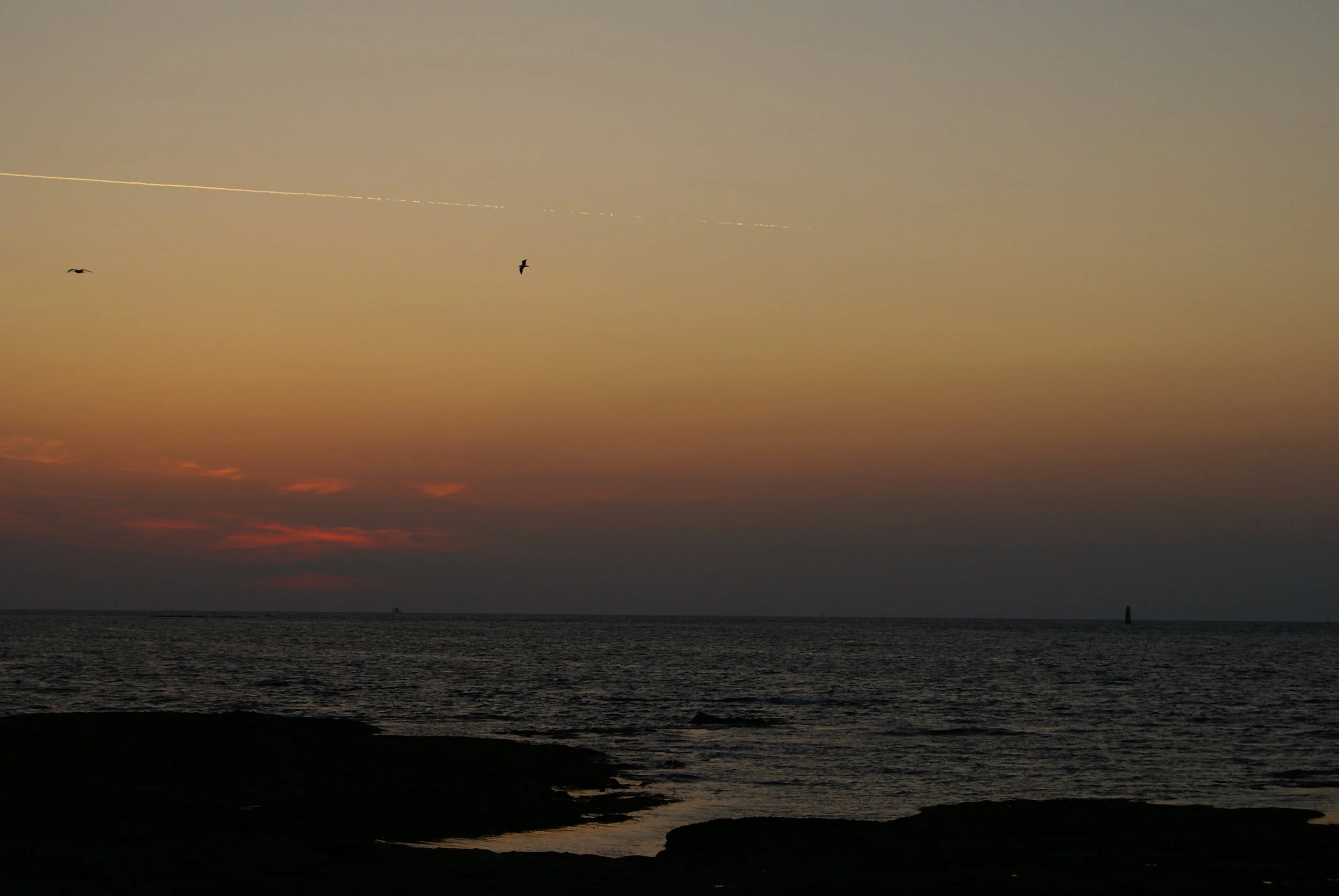 cocktail - Noirmoutier