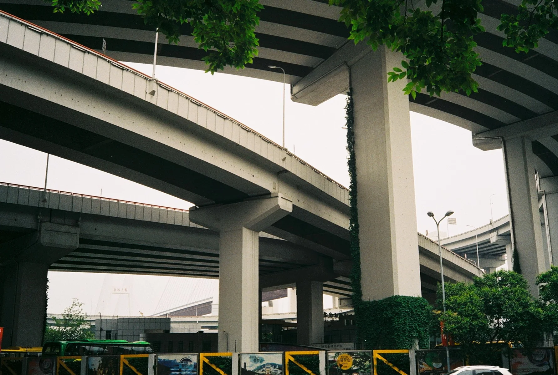 Jungle speed - Shanghai