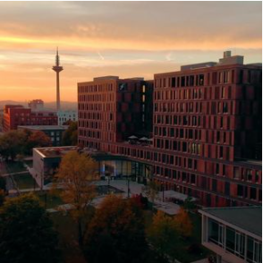 Capture d’écran 2022-02-10 à 15.01.37.png