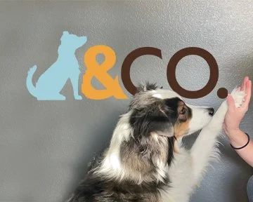 GDandCO_cover.jpg