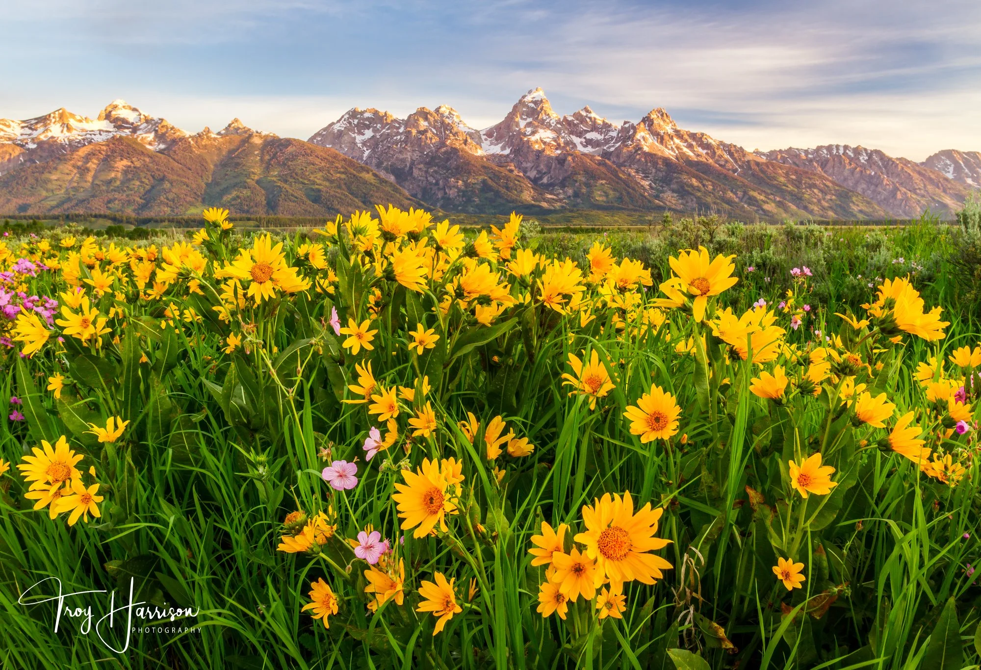 1 - Tetons in Spring, GTNP 2015, img 393.jpg