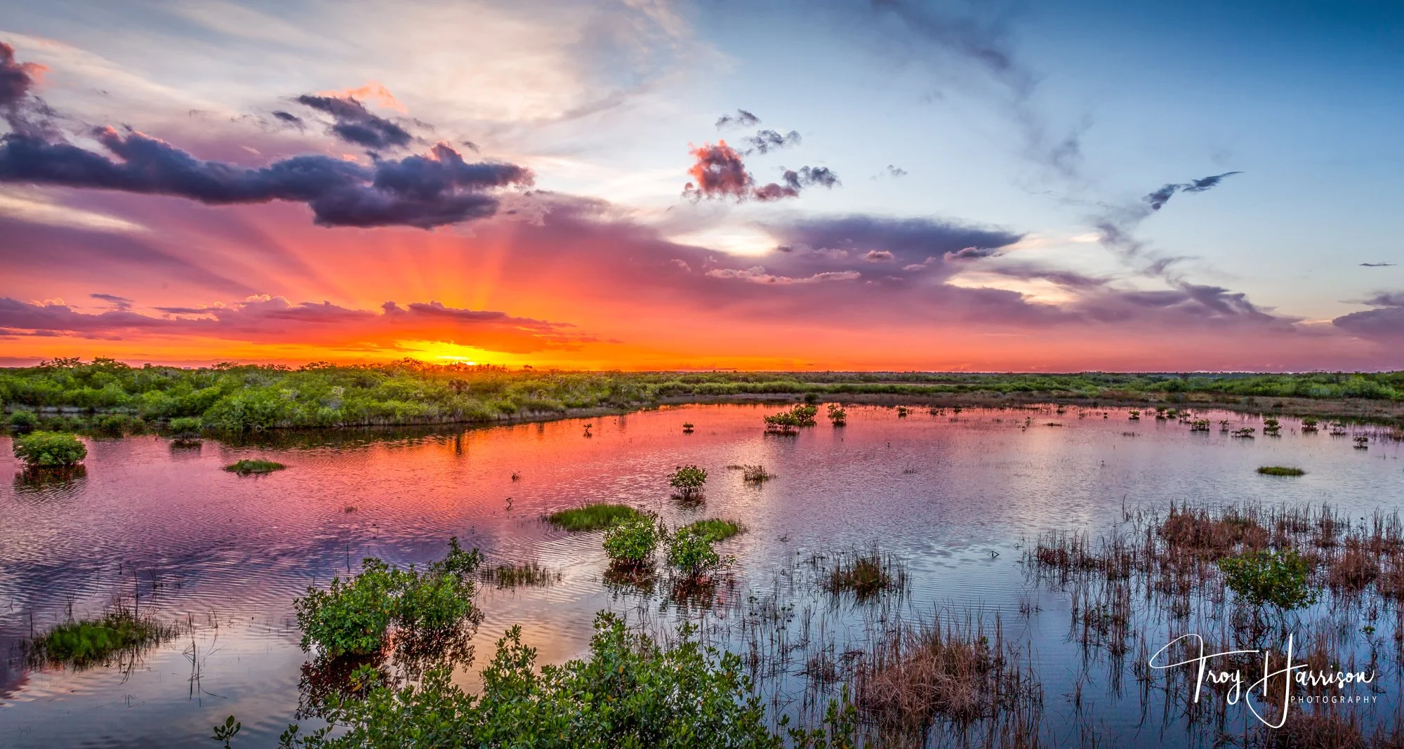 1 - 10,000 Islands, Everglades 2016, img 065.jpg