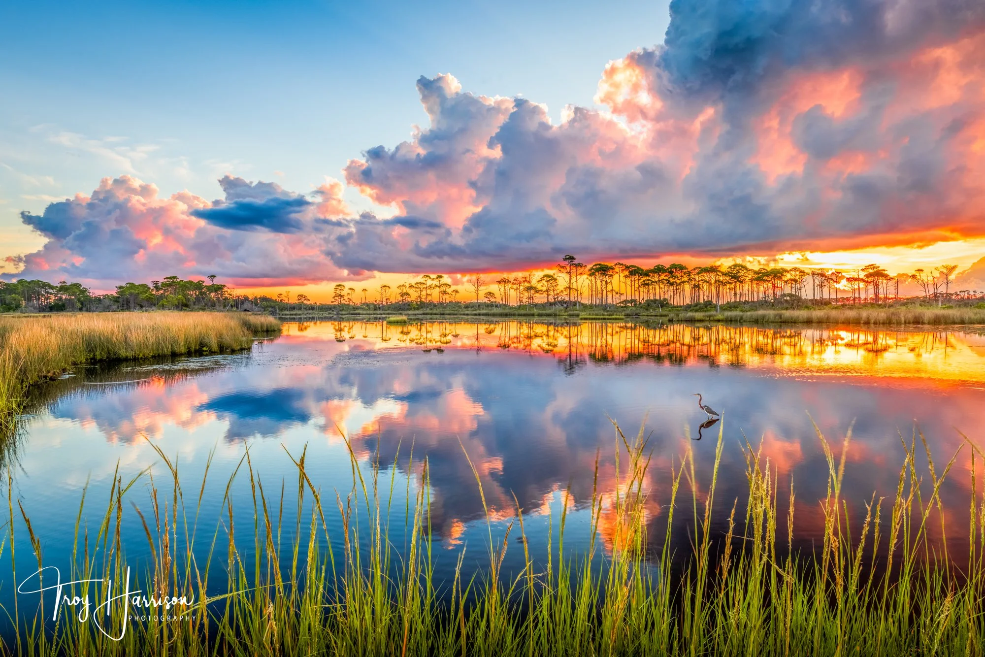 1 - Cape San Blas, Florida 2021, img 7207.jpg
