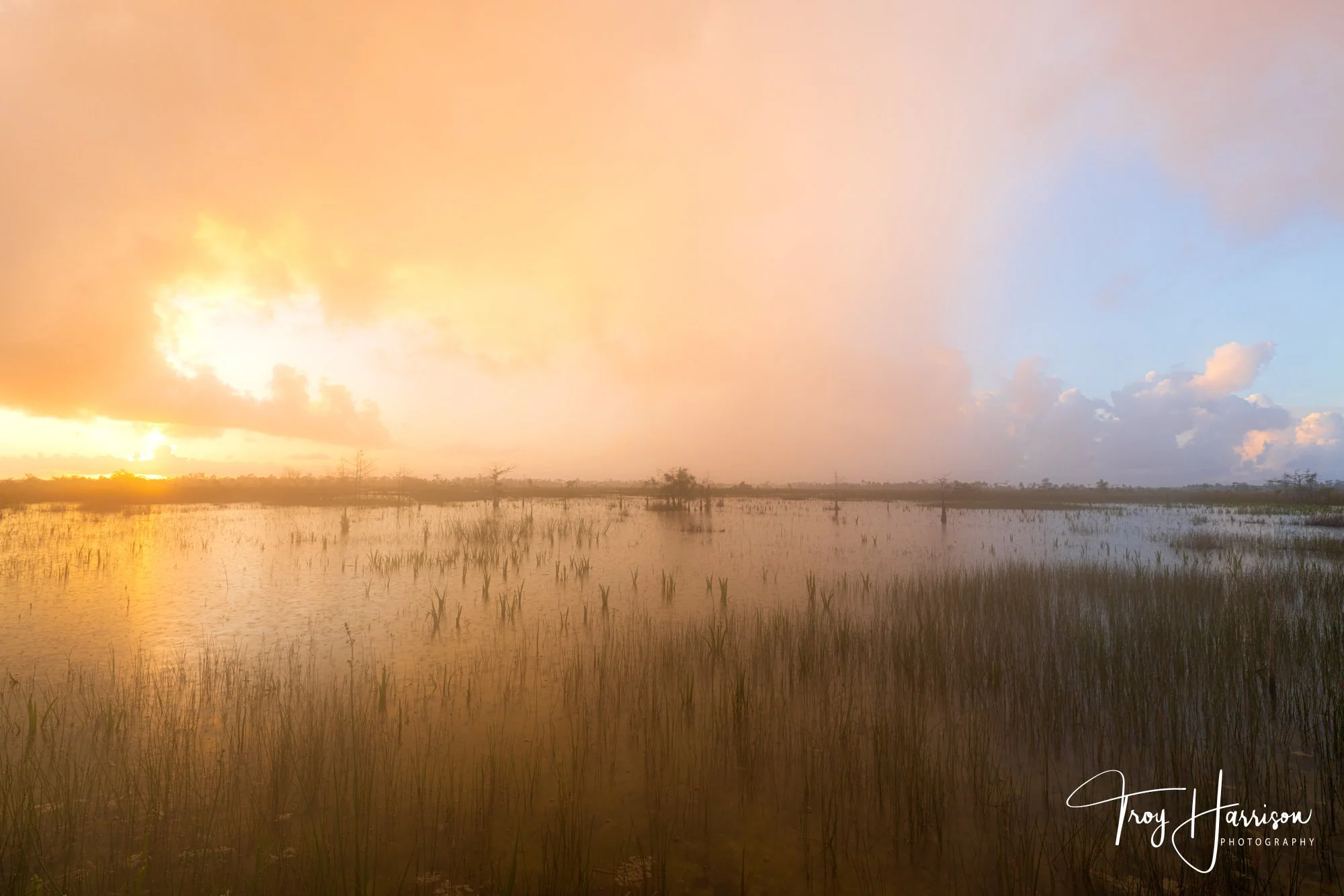 1 - Everglades, 2025, img 0871.jpg