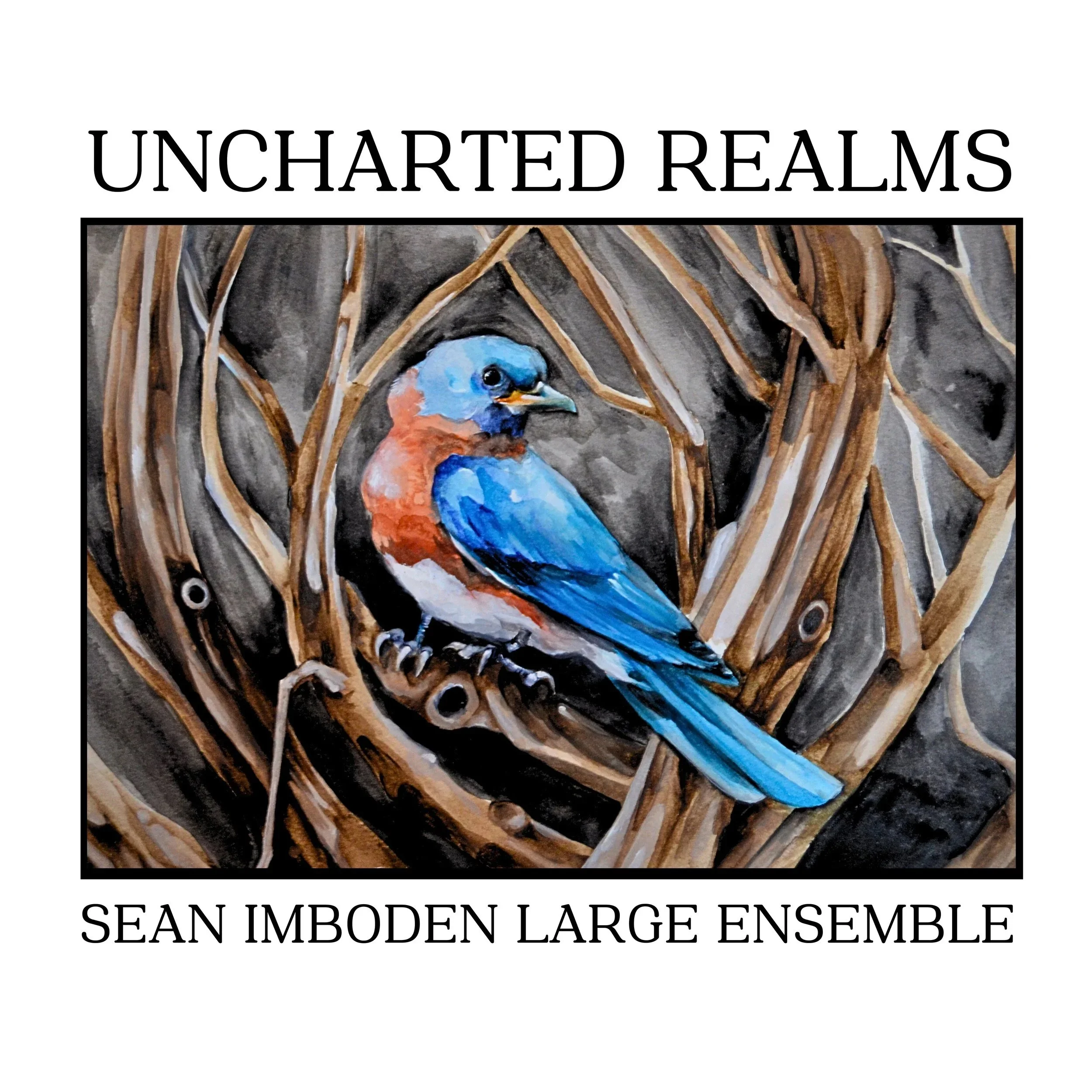 Uncharted Realms album cover.jpeg