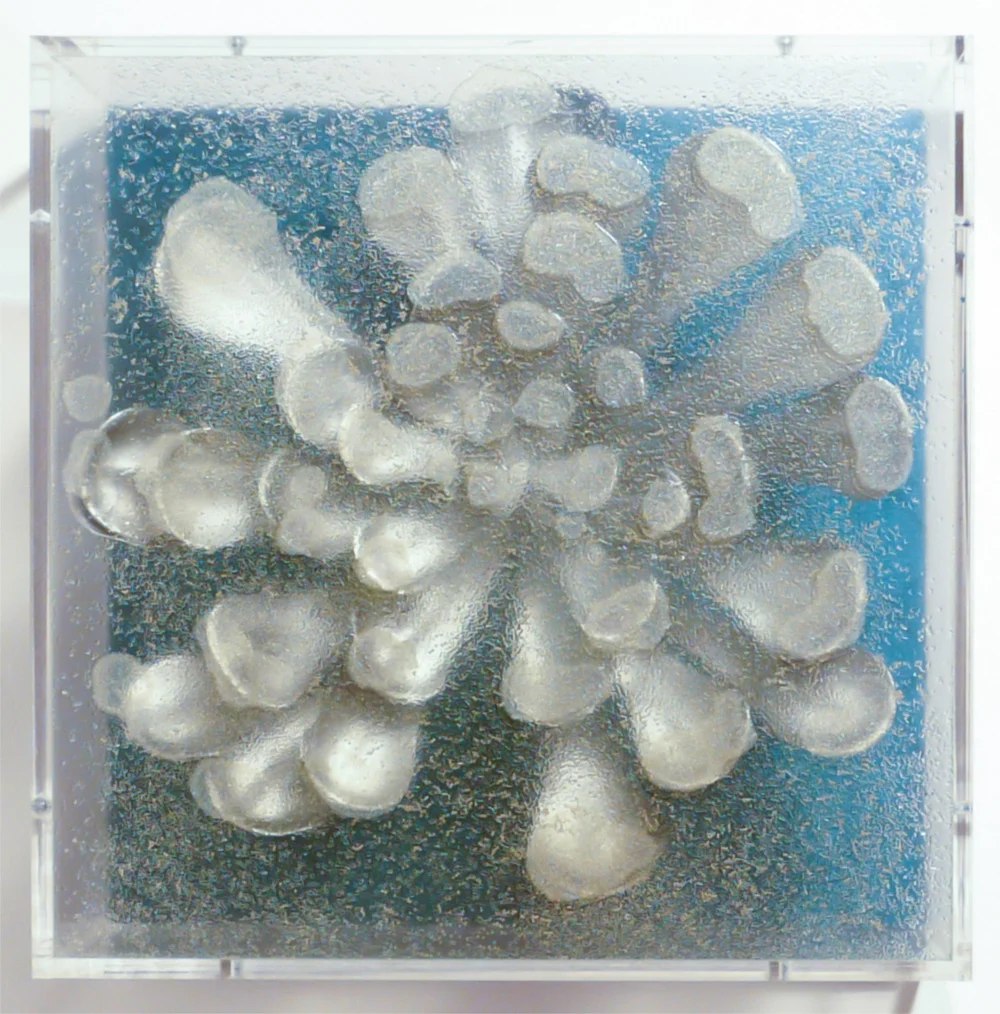 Silence Speaks Volumes , 2011 12” x 12” x 4”, mixed media, Plexibox SOLD