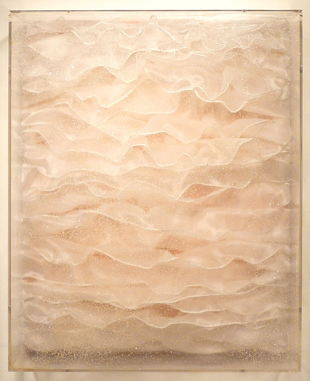 Swan Dive , 2011 17” x 21” 5”, mixed media, Plexibox NFS