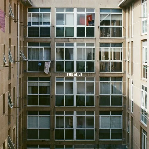 Al Groves Vs Bedside Manners