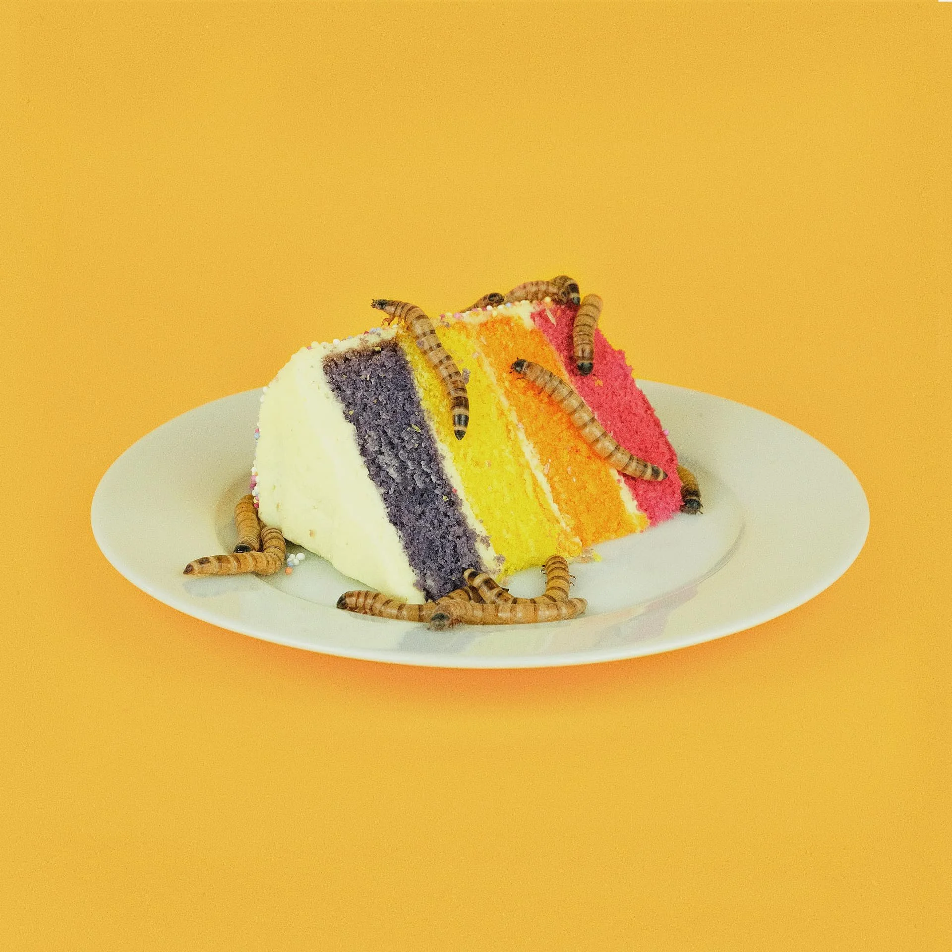 Al Groves Vs Paint Me In Colour