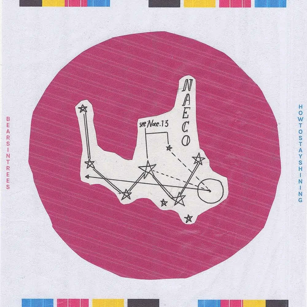 ST£FAN Vs Darren Lawson vs Bears In Trees