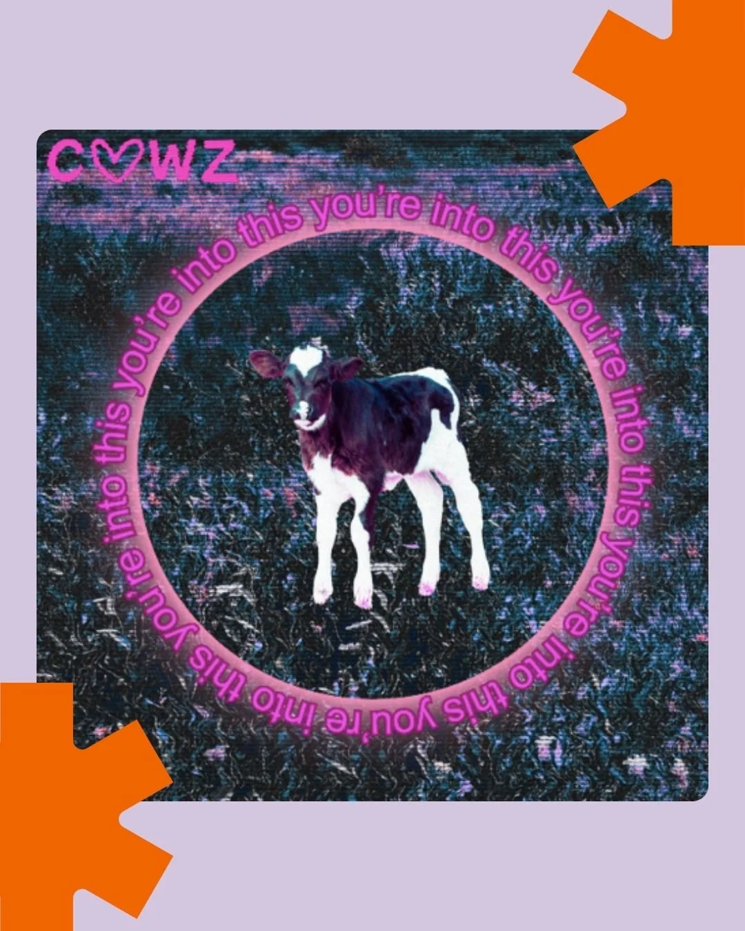 St£fan Vs Cowz
