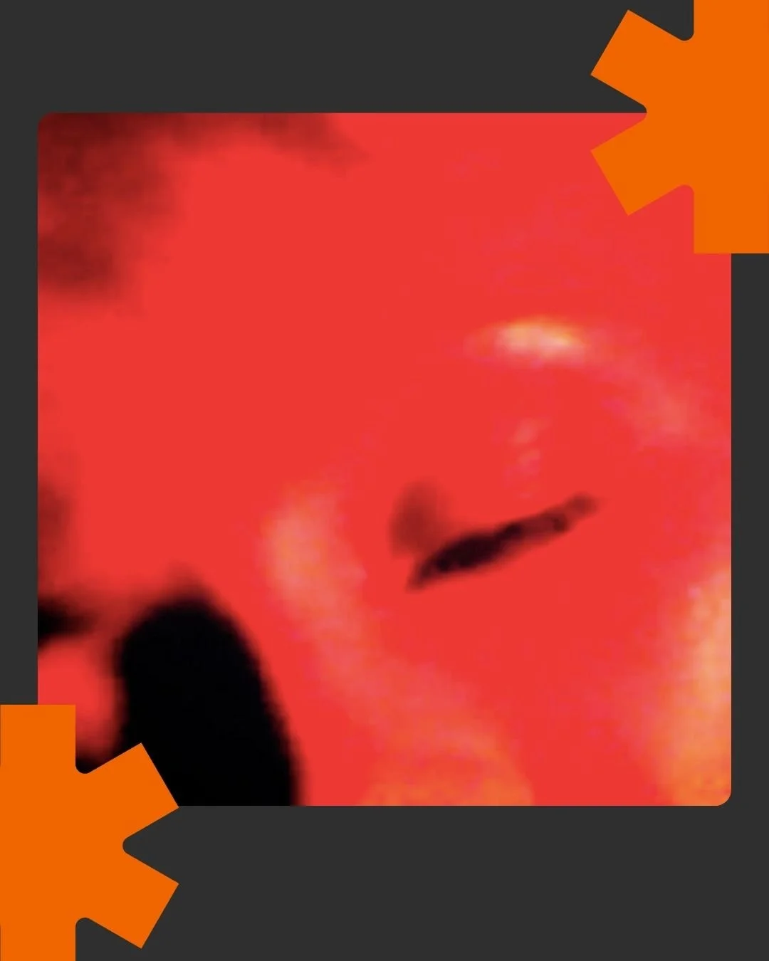 Michael Champion Vs Aifric