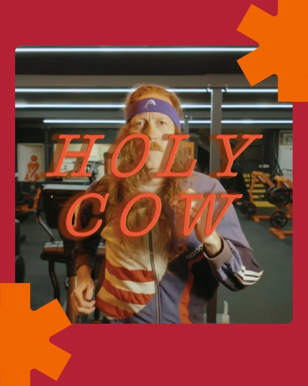 Simon Dobson Vs Holy Cow
