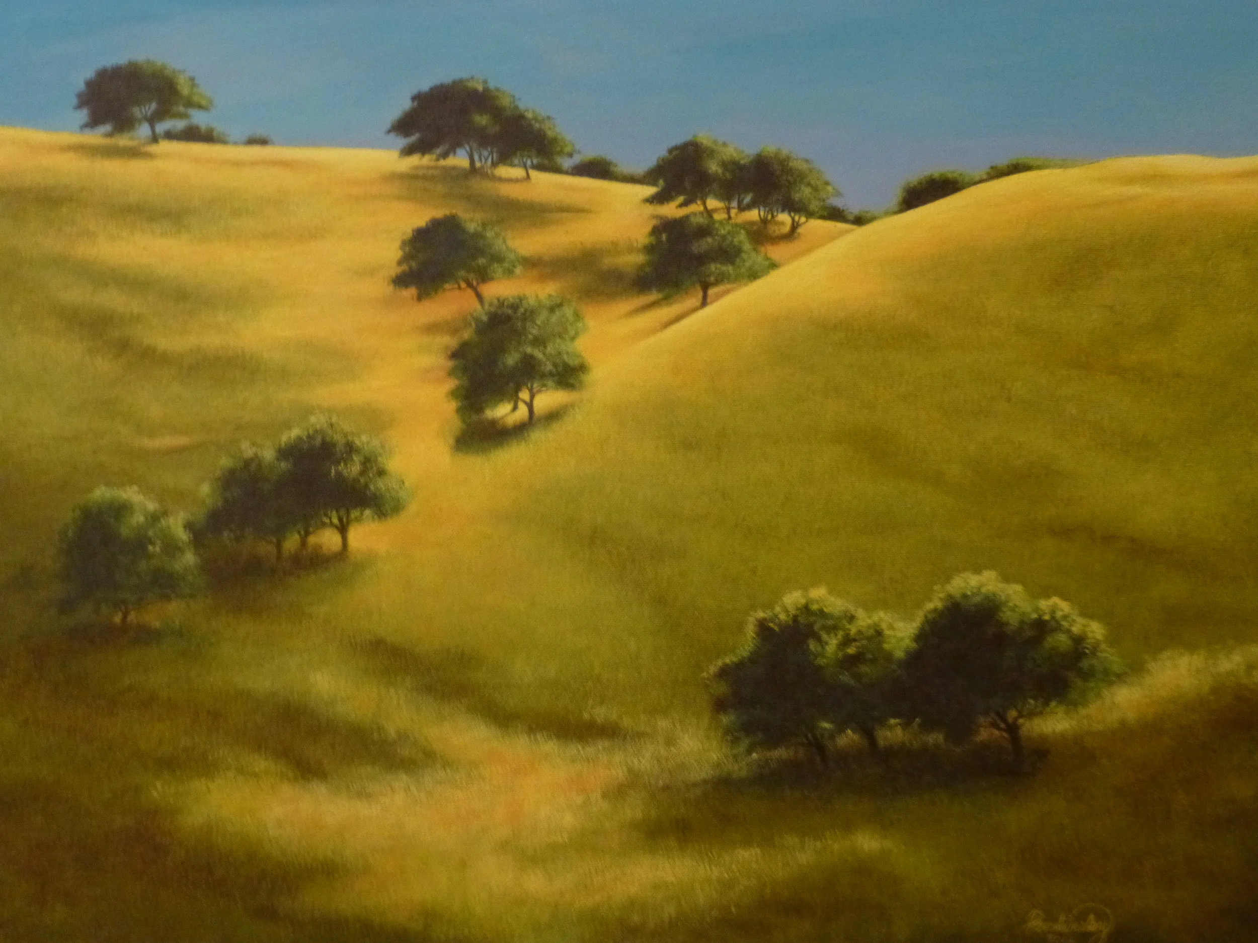 Oak Tree Field.JPG