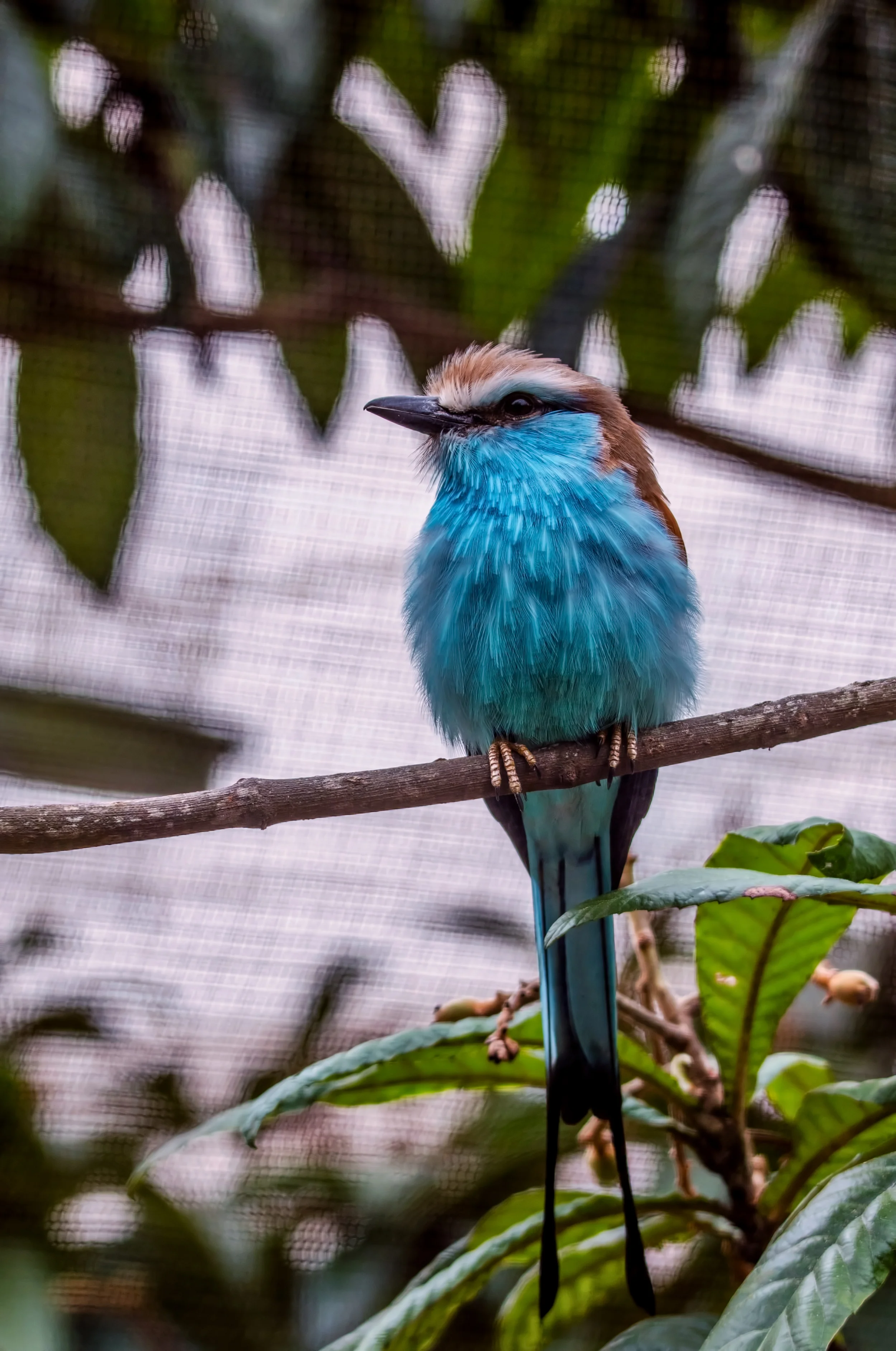 DSC_5019e.jpg