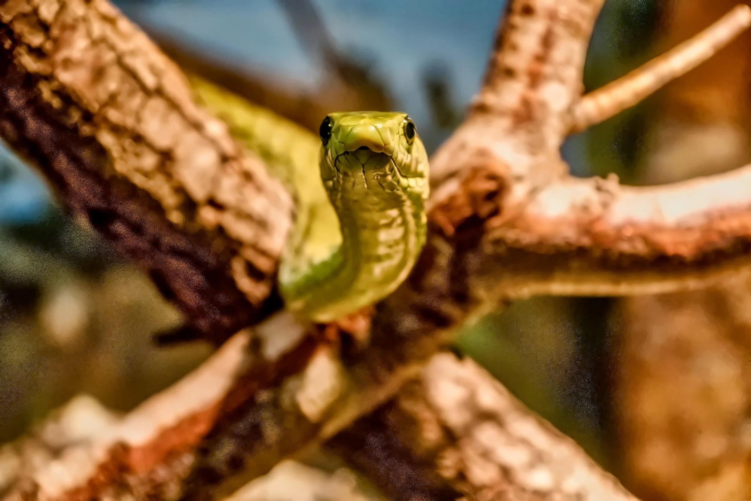 DSC_5522.jpg