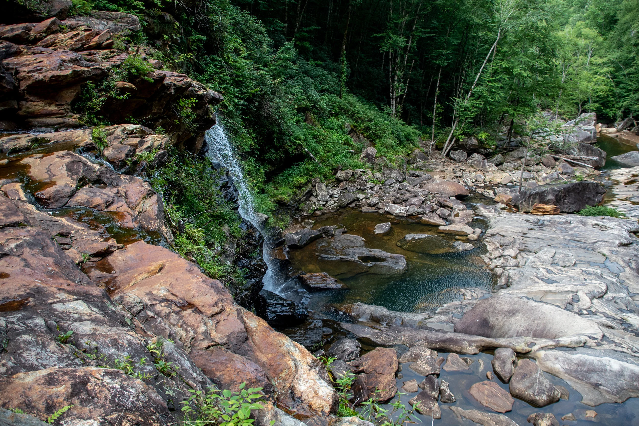 DSC_1105.jpg