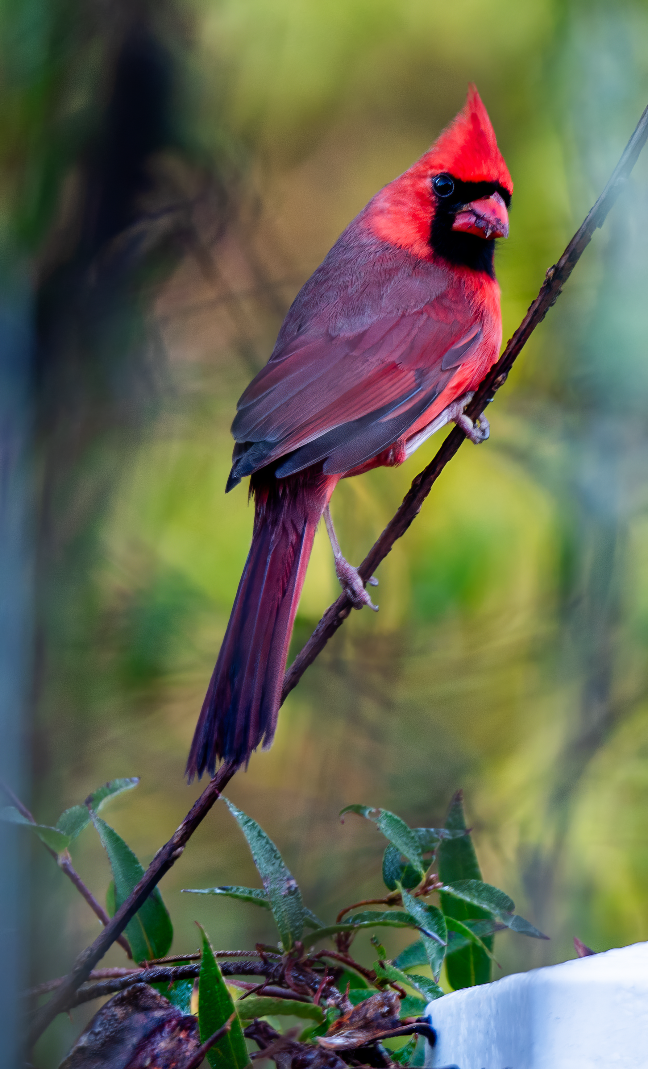 DSC_2147-topaz-enhance-2x-sharpen.png