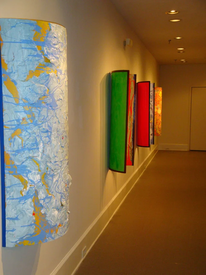 Exhibition View" Skin Series 2010