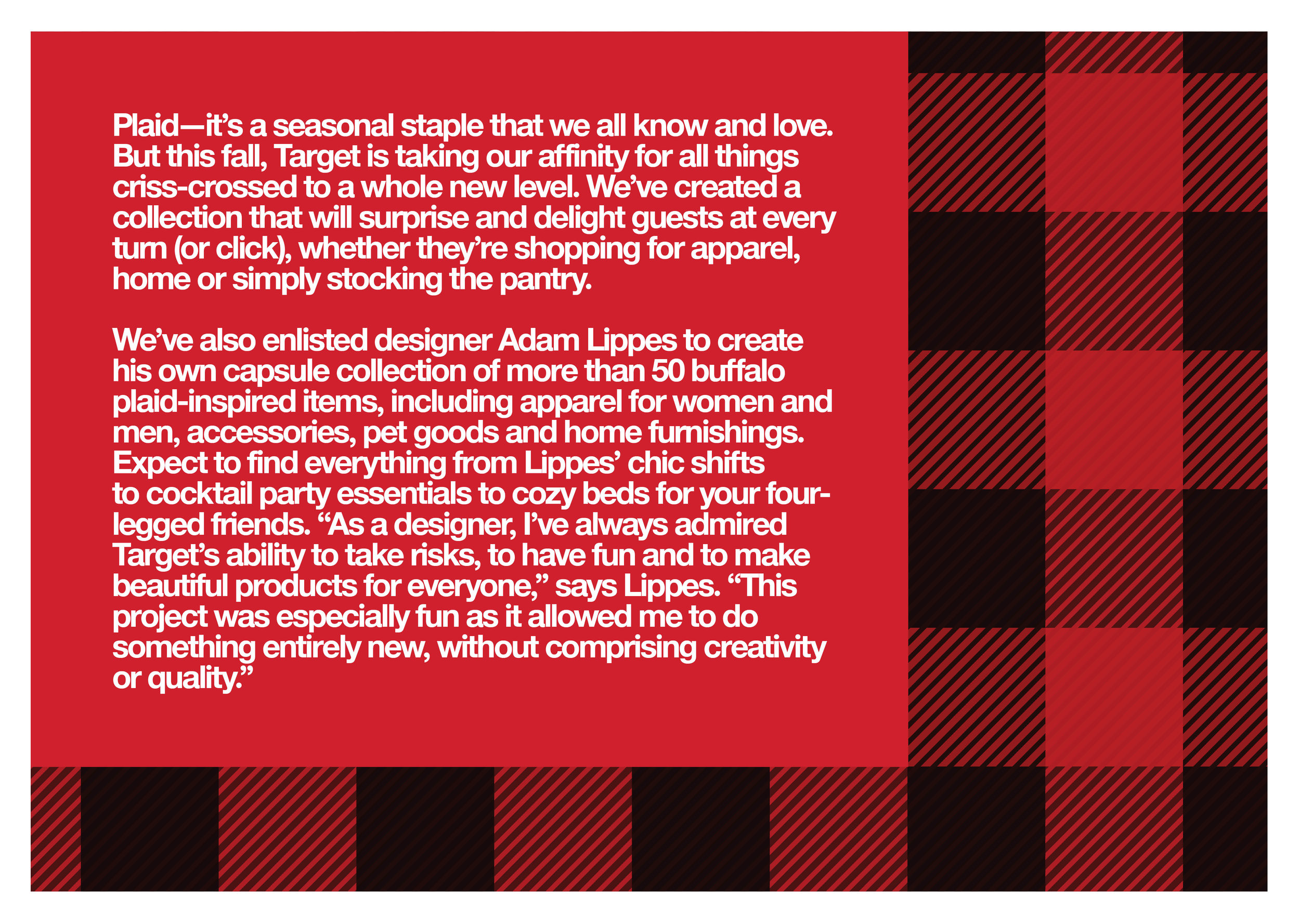  Enrique Mosqueda, creative director  archive portfolio -Adam Lippes plaid target -Look Book 