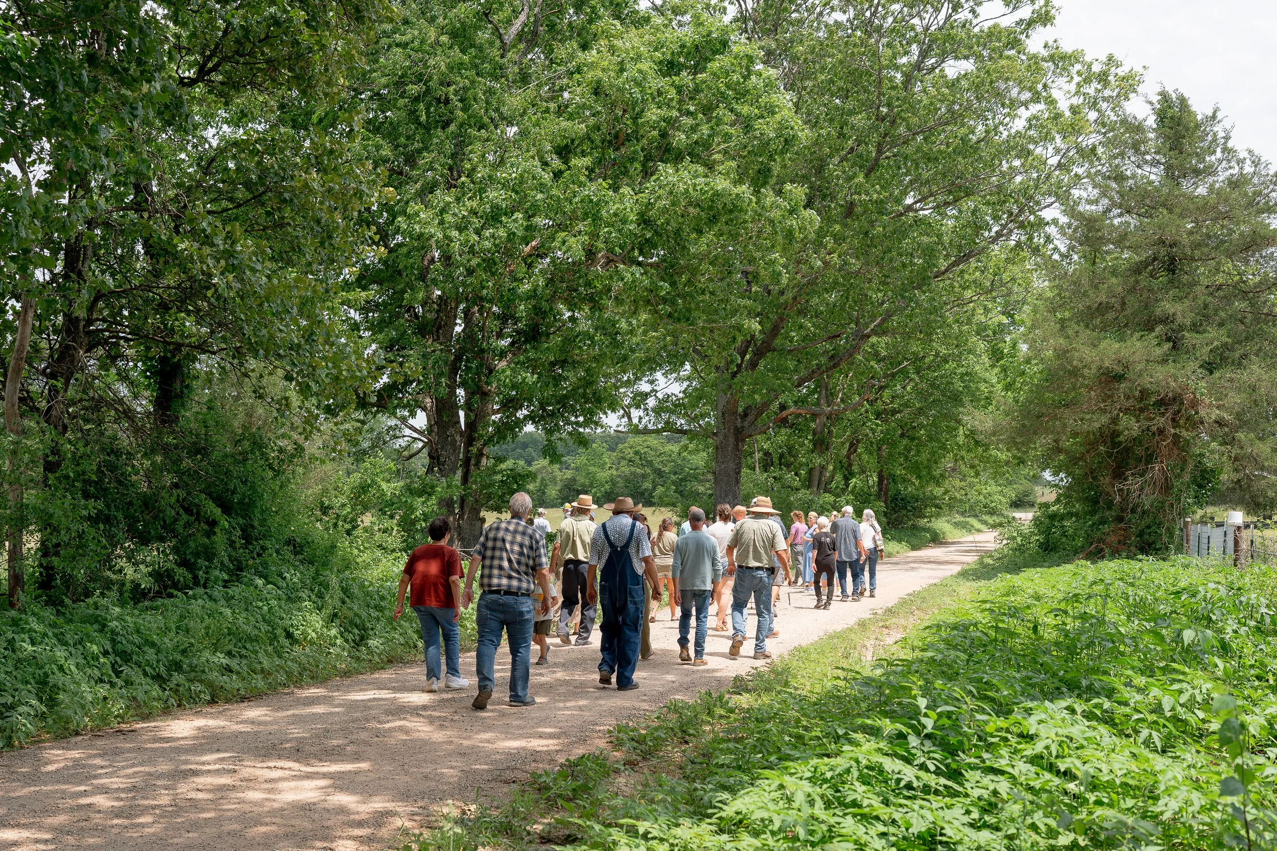 People walking down a gravel road for fun at Farm & Field Day at Peace Valley Poultry