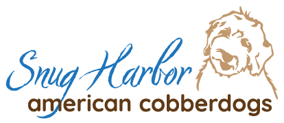 Snug Harbor Cobberdogs