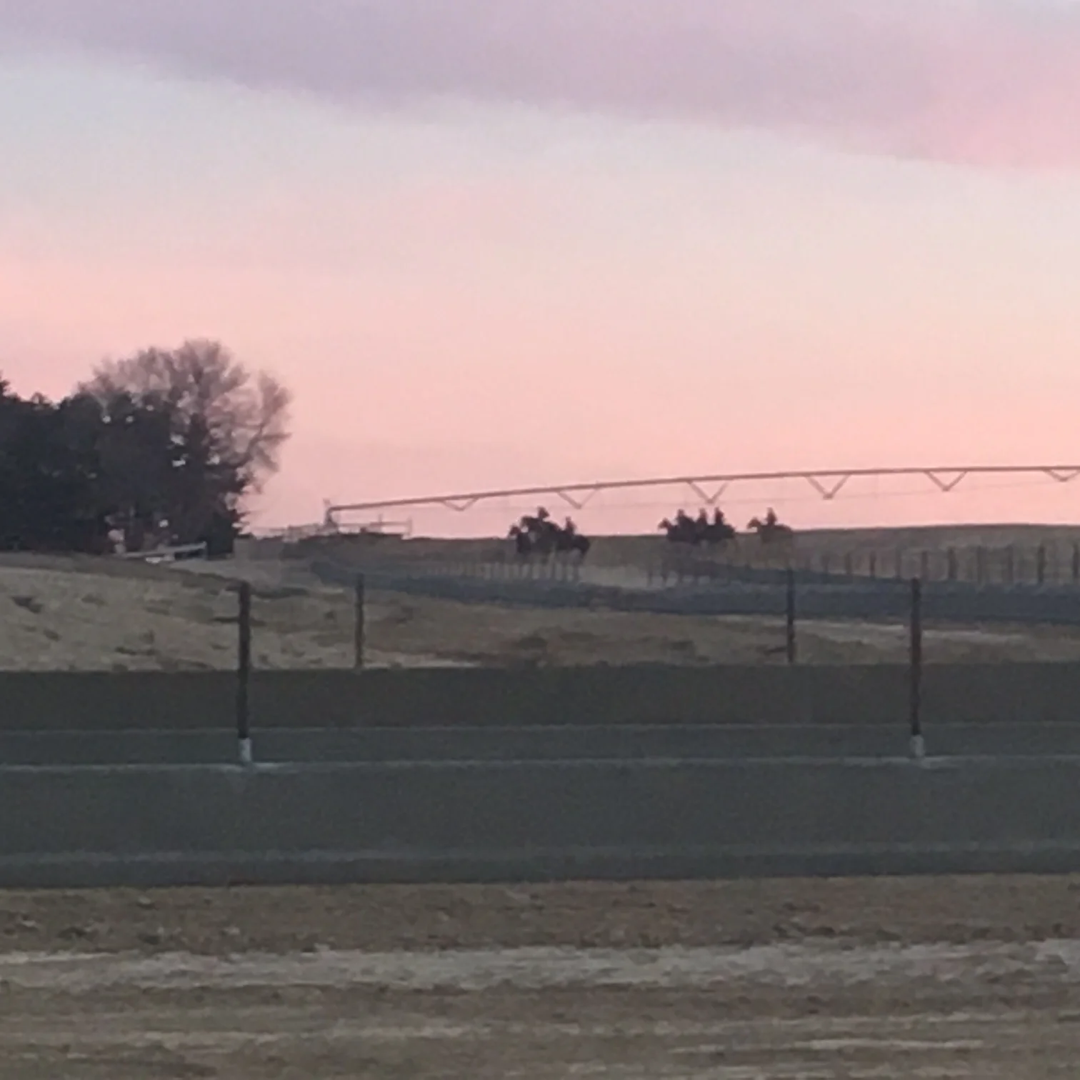 PROJECT HIGHLIGHT: Mark Miller Farms