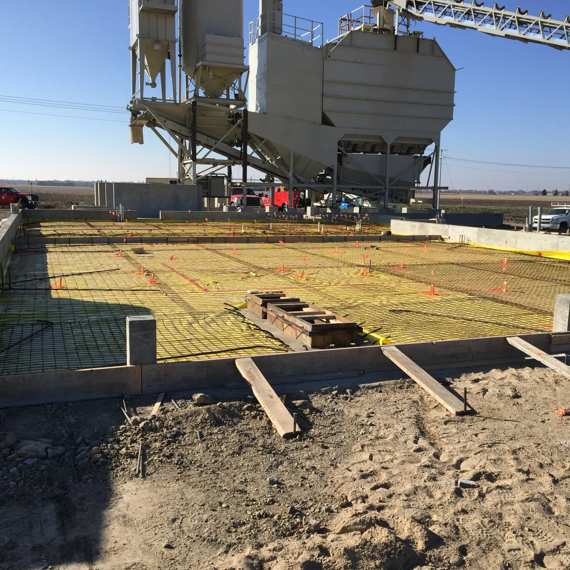 A New Plant In The New Year