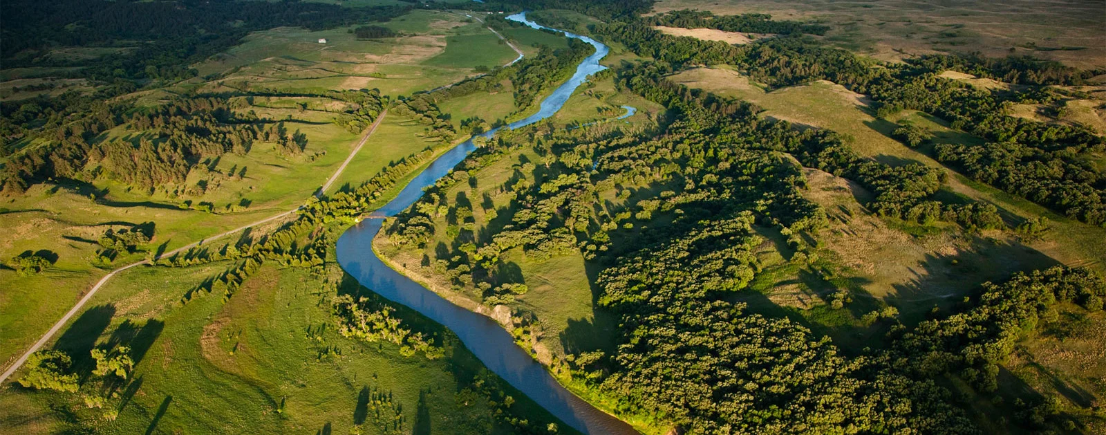 wetland.jpg