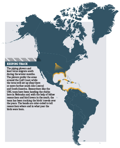 WEB_migrationmap.jpg