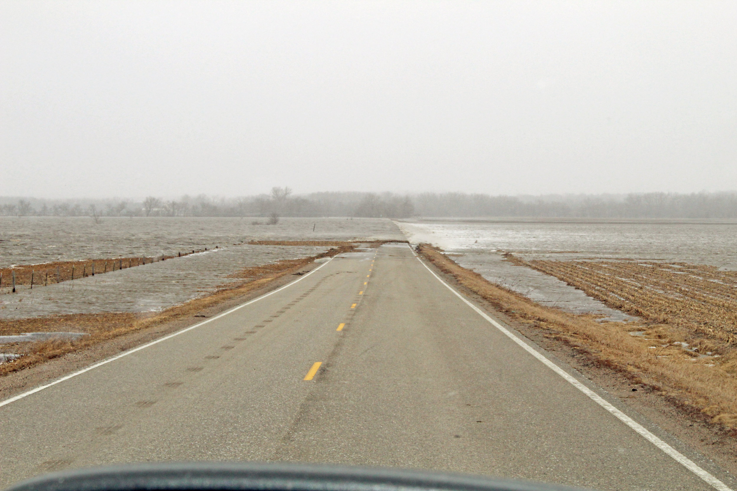 IMG_0519[1]  WISNER.jpg