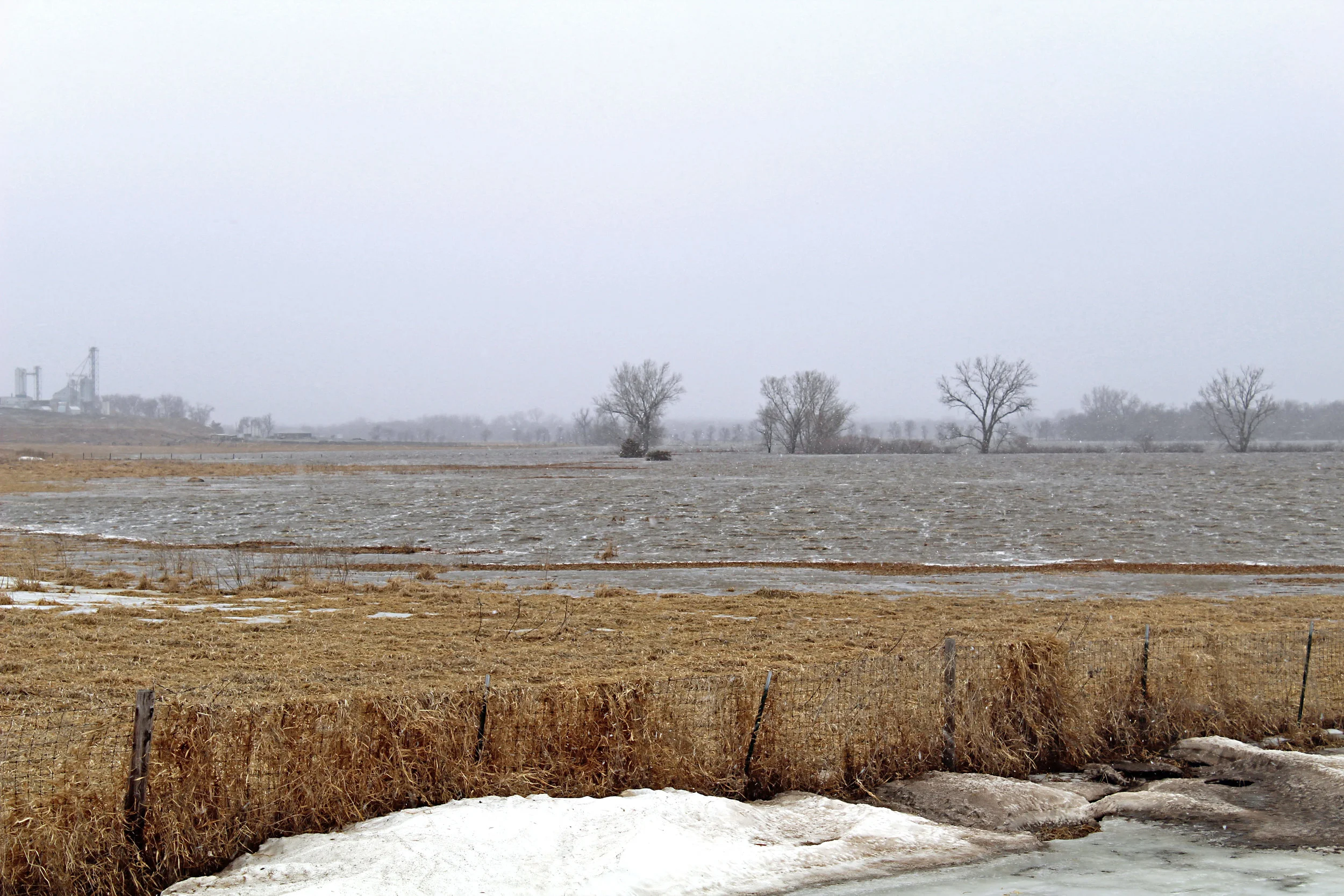 IMG_0521[1] WISNER.jpg