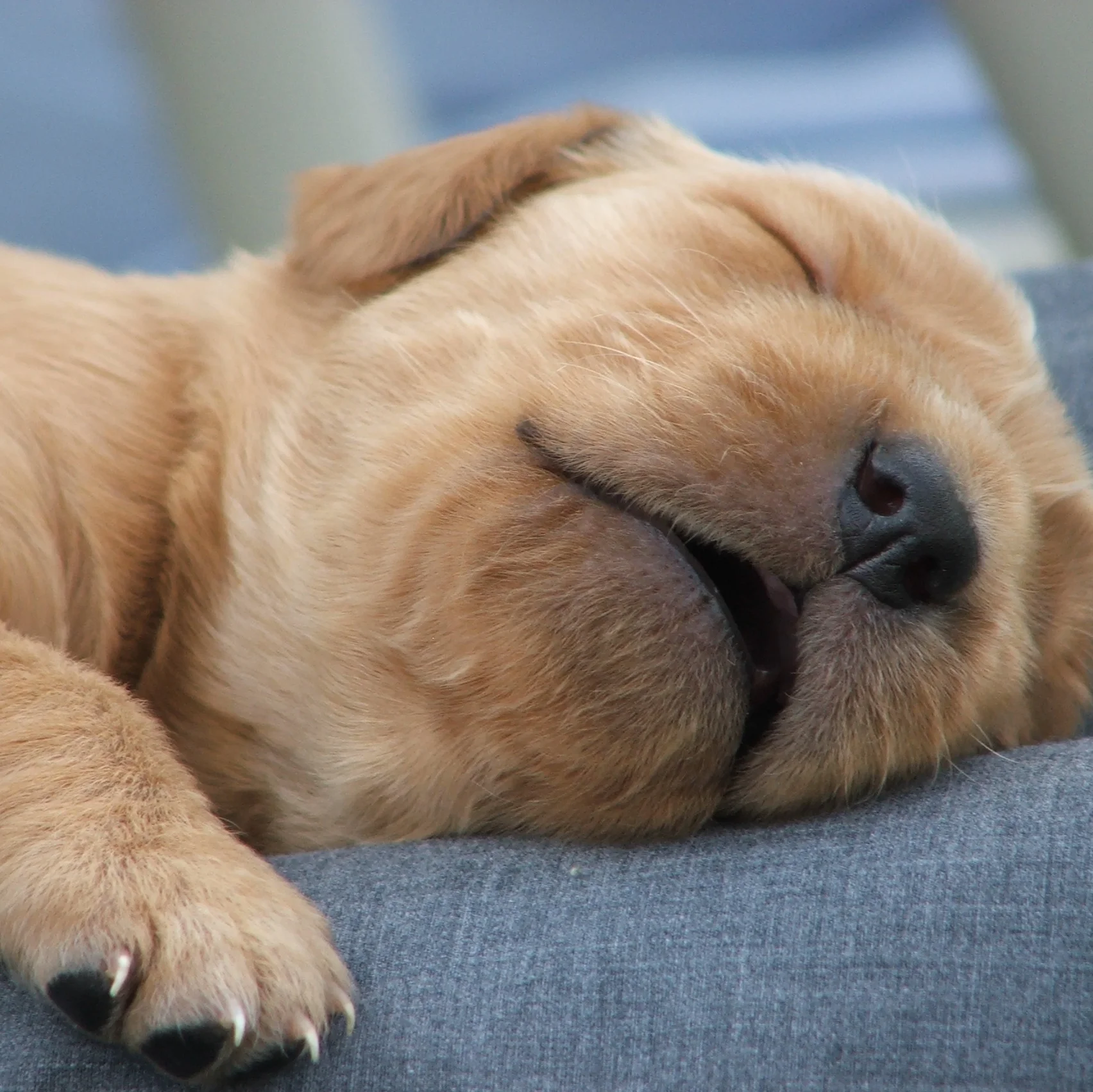 SAFETY DESK: Dangers of Daylight Savings