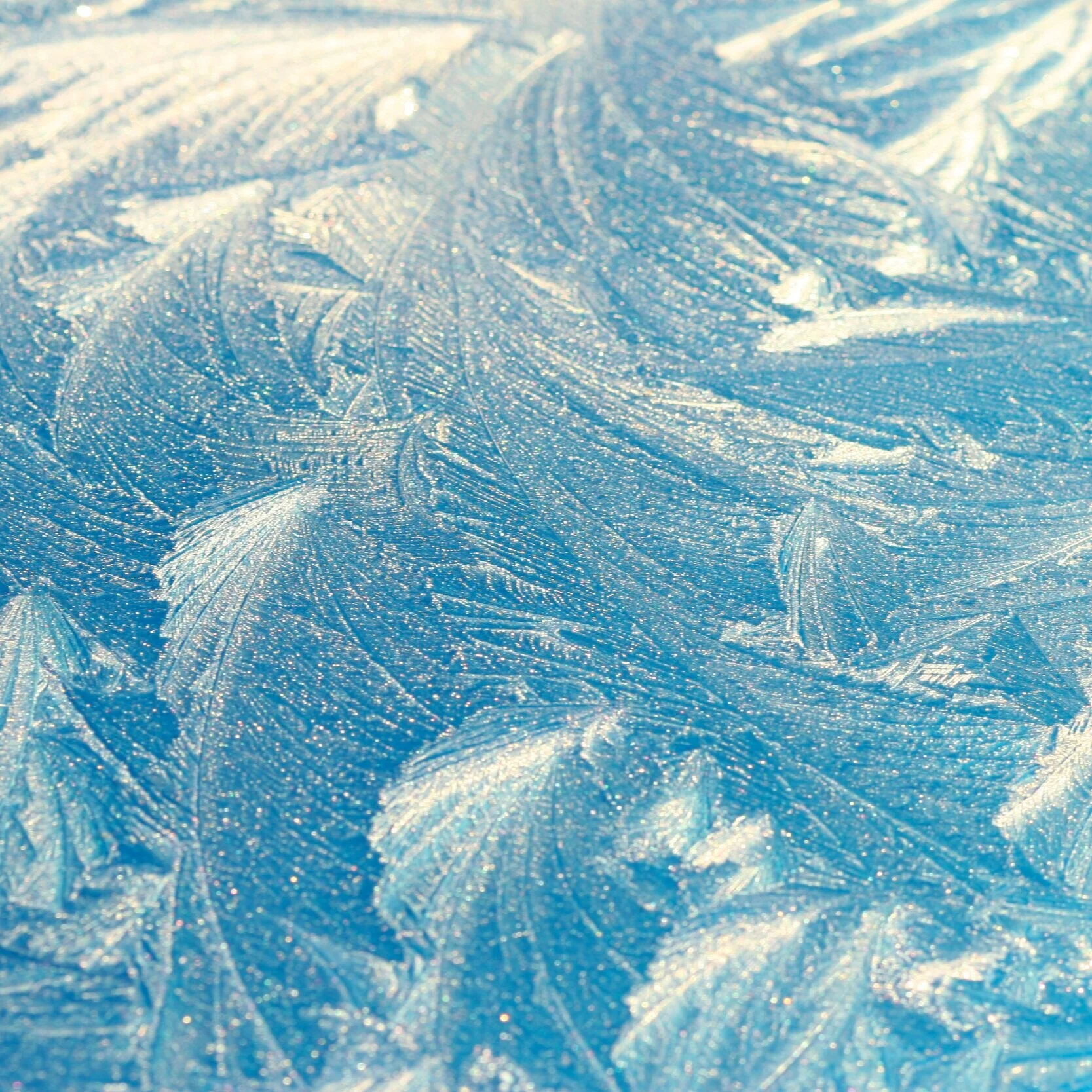 SAFETY DESK: The Dangers of Frostbite