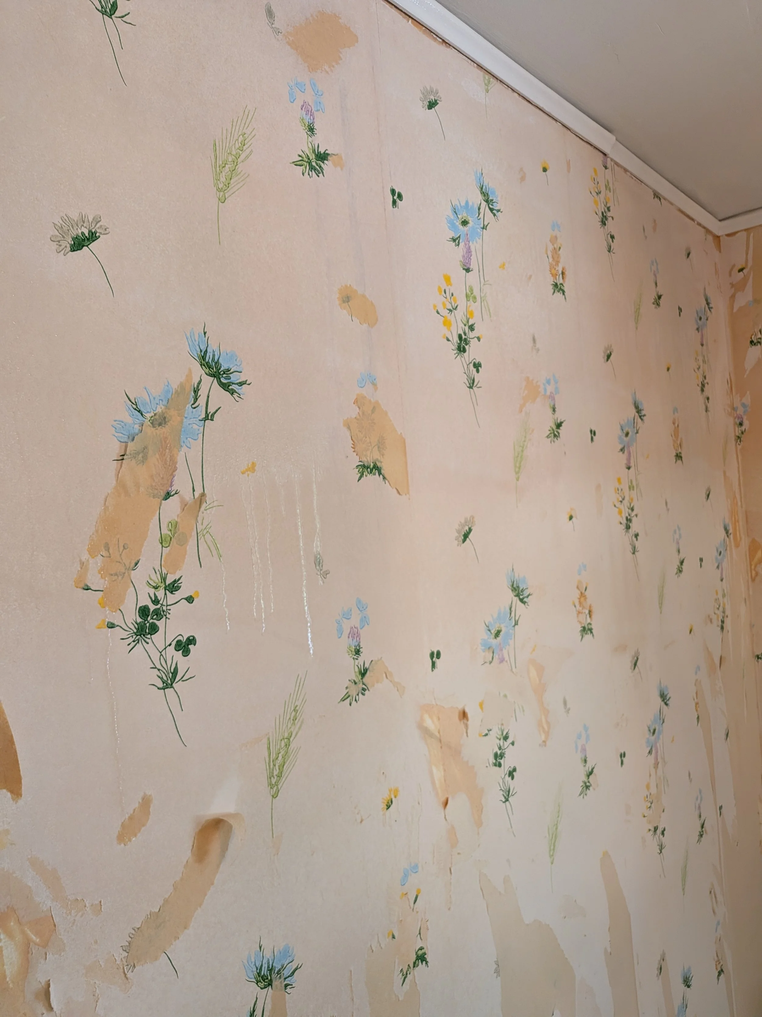 Rathbone-SW Bedroom-Bonus Paper_2.jpg