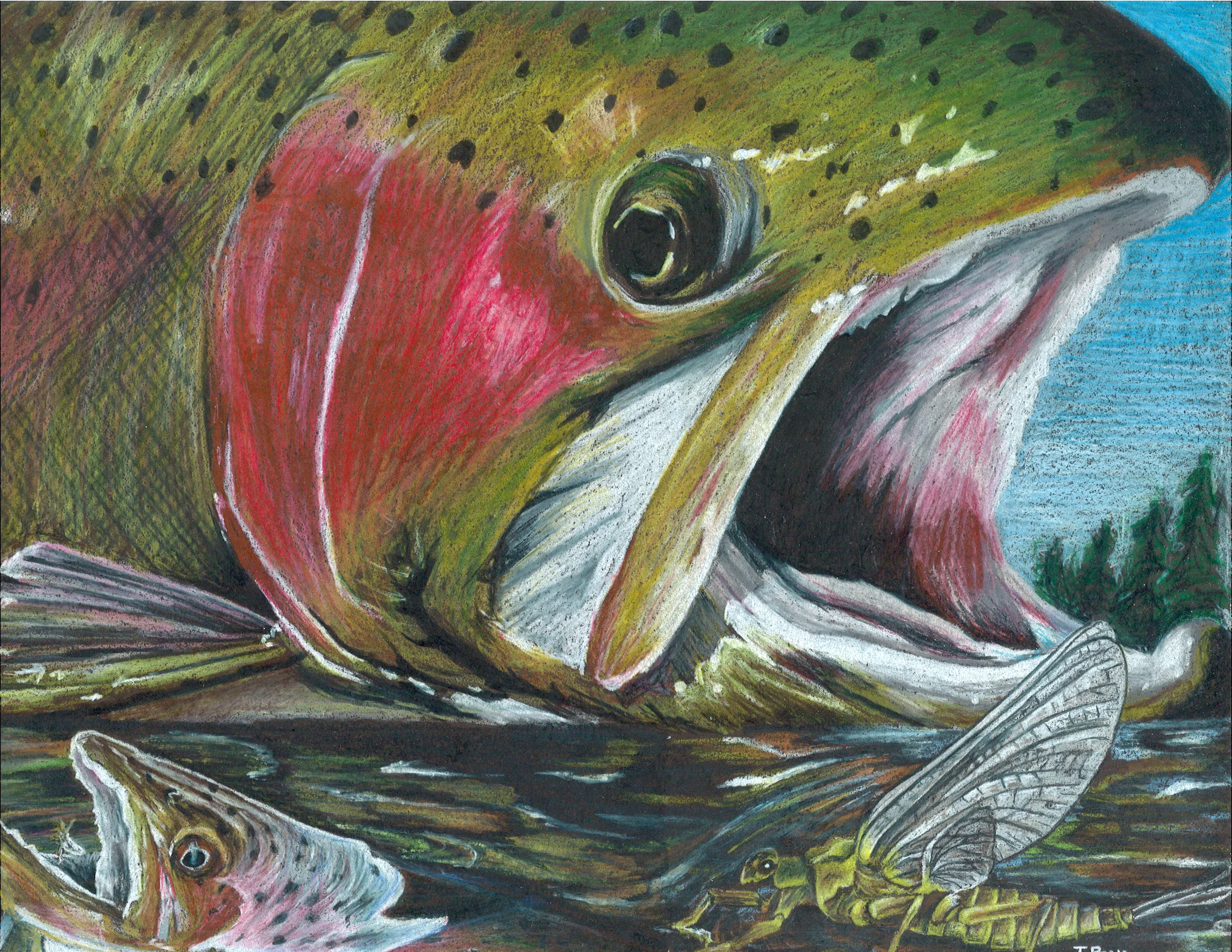 Rainbow Collage (already matted)