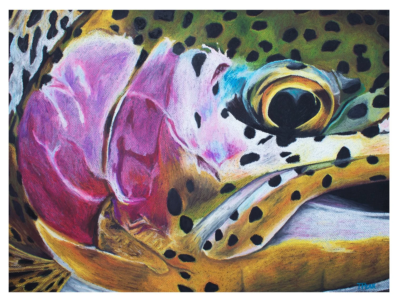 Rainbow Internet App.jpg