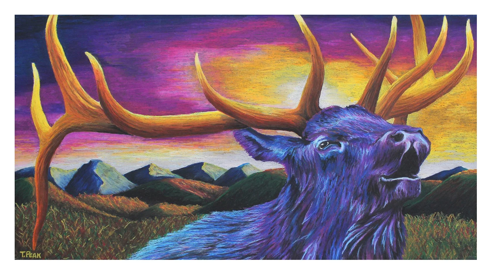 Elk Internet App.jpg