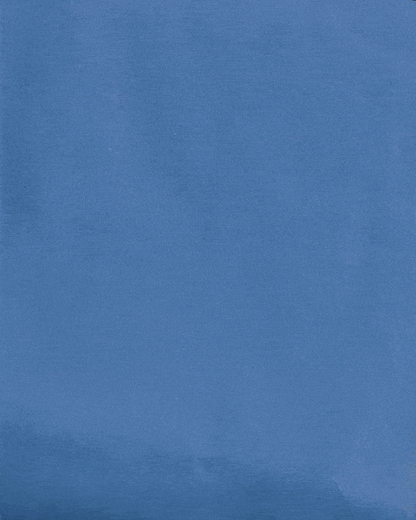 2DM_MGMT_MMA_GA_Pepe_Jeans_April_2021_Denim_Day_Tip_3