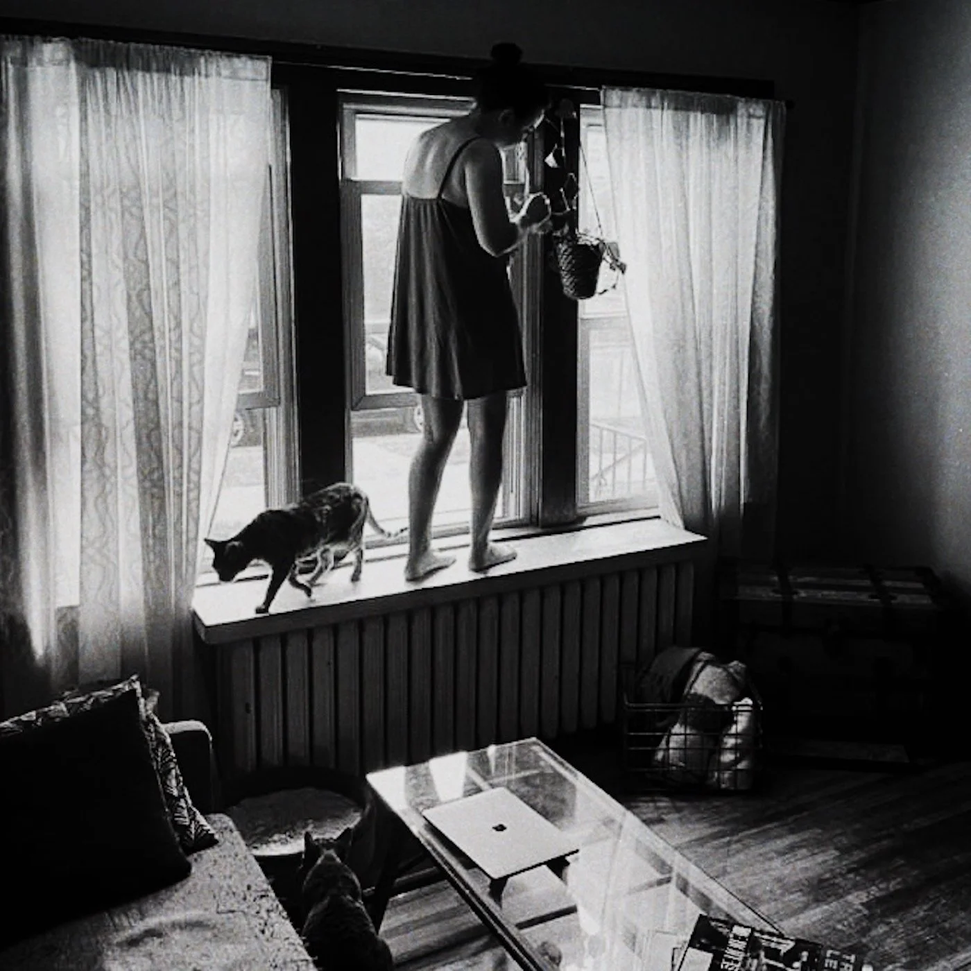 "Jack Of All Trades..."