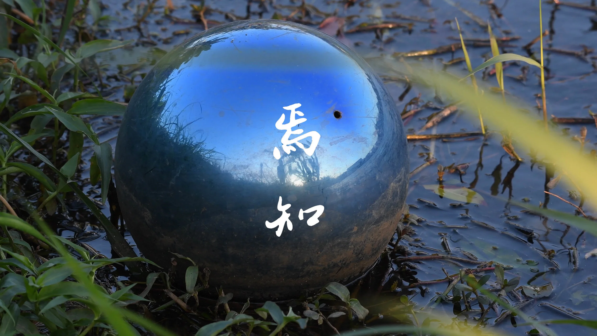 <焉知> VOICE FROM ELSEWHERE